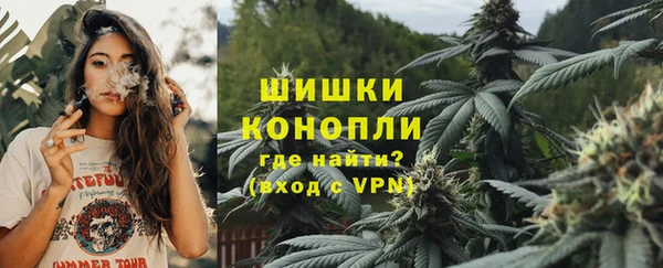 ГАЛЛЮЦИНОГЕННЫЕ ГРИБЫ Коряжма
