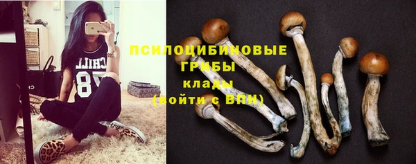 Альфа ПВП Козельск