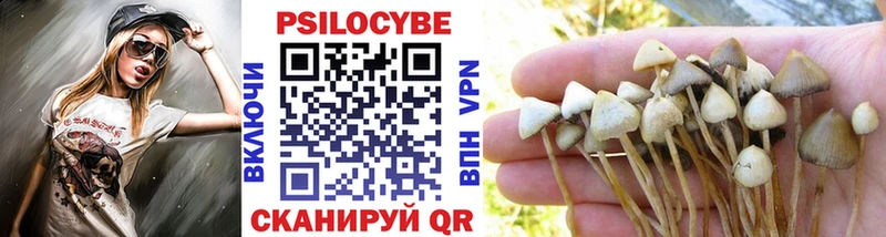 Псилоцибиновые грибы прущие грибы  Купить  Плавск 